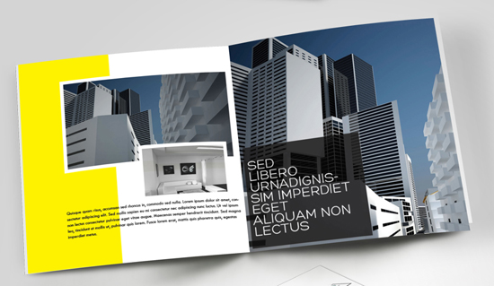 constrction brochure